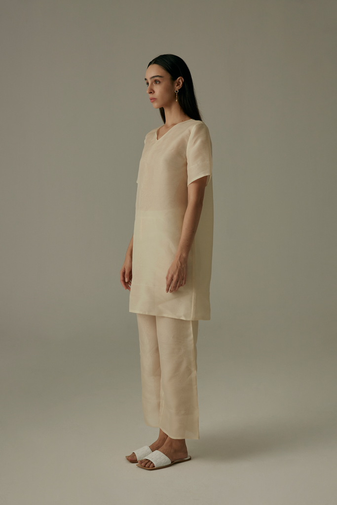 ORGANZA V NECK DRESS